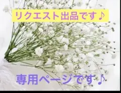 D.D (プロフ必読)様 リクエスト 2点 まとめ商品
