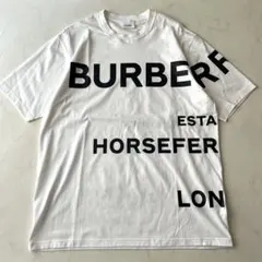 ✨超人気✨Burberry ワンポイントロゴ TBプリント Tシャツ 白 L - メルカリ