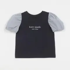 ストライプスリーブTシャツ