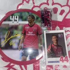 セレッソ大阪 44 畠中槙之輔　【本日限定商品】