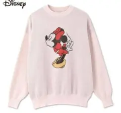 ディズニーセーター