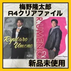 【新品未使用】阪神タイガース梅野隆太郎 ランダムA4クリアファイル