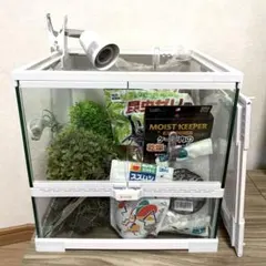 中古爬虫類ケージ  鍵付き 2026年最新】ケージ 中古 爬虫類の人気アイテム - メルカリ