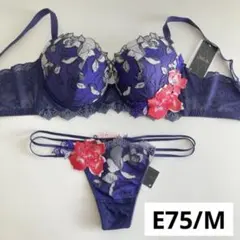 Item thumbnail for item 805d1549-292f-481e-aac0-e37195fbb8d5