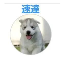 そらのママ様 リクエスト 3点 まとめ商品