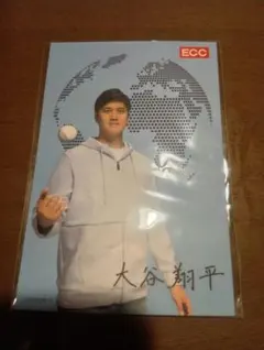 大谷翔平 ポストカード ECCジュニア 非売品