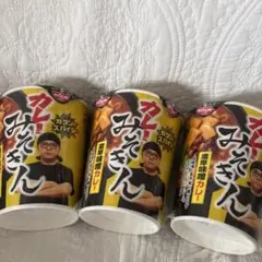 期間限定セール中☆】4個セット 新みそきん 濃厚味噌 みそきん2種類 各