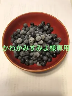 埼玉県産　令和7年度 冷凍ブルーベリー3キロ