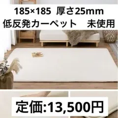 低反発カーペット　アイボリー フランネルラグ 185x185cm 厚さ25mm