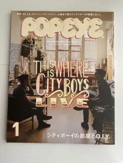 POPEYE シティボーイの部屋とD.I.Y.