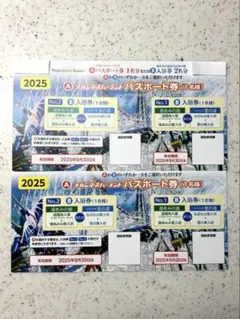 ナガシマスパーランド　パスポート券 2枚セットのサムネイル