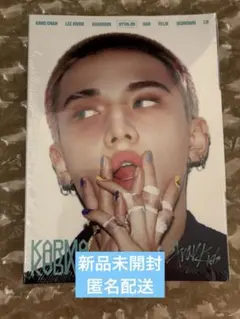 Stray Kids スキズ KARMAアコーディオン 新品未開封ヒョンジン