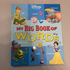 MY BIG BOOK OF WORDS 未開封　新品 2026年最新】my big book of wordsの人気アイテム - メルカリ