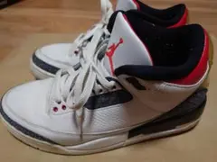 Nike Air Jordan 3 Retro SE-T CO JP　25.5
