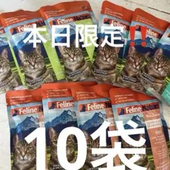 お値下げしました‼️Feline Natural キャットフード 98%肉のサムネイル