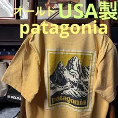 希少 オールド USA製 patagonia パタゴニア バックプリントT