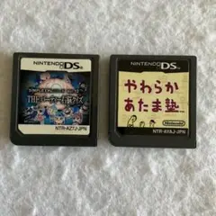 ニンテンドーDS THEパーティー右脳クイズ、やわらかあたま塾 2本セット