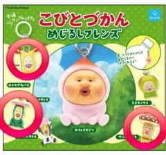 こびとづかん めじるしフレンズ　カプセルトイ 3個セット