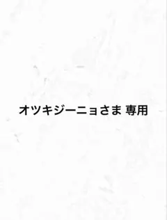 オツキジーニョさま 専用