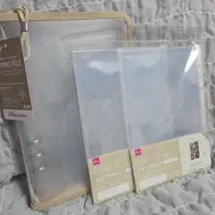 Item thumbnail for item 53ca0259-1862-481d-be06-2a5dfcdb5d09