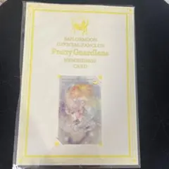 【新品】セーラームーン　オフィシャルファンクラブ会員証　2017