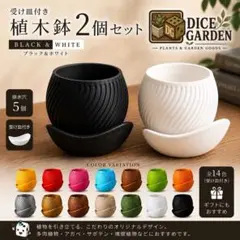 プランター 2個セット 受け皿付き 多肉植物 黒白〈Luna M〉 - メルカリ