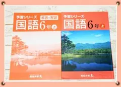 早稲田アカデミー 国語6年上  四谷大塚 予習シリーズ  中学受験　解答解説付き