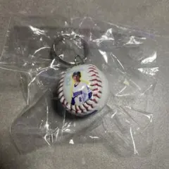 田中幹也　シークレット　ボールキーチェーン