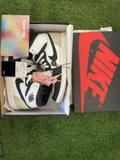 Nike Air Jordan 1 High OG Bleached Coral
