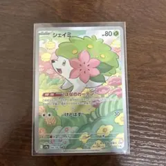シェイミ ポケモンカードゲーム