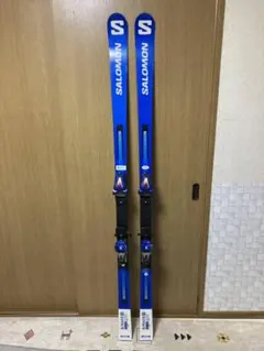 2025年最新】salomon gsの人気アイテム - メルカリ