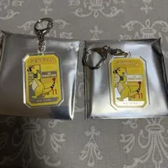 ポケモン　デンリュウ　プロント　アクリルキーホルダー