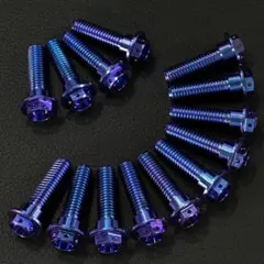 16本 M8×30mm 64チタン ブレーキ ディスク ボルト GP a948 16本 M8×30mm 64チタン ブレーキ ディスク ボルト GP a948 - メルカリ