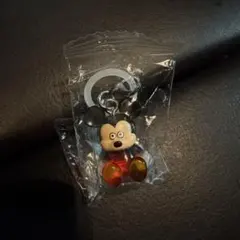 ディズニーキャラクター 松本セイジ めじるしアクセサリー