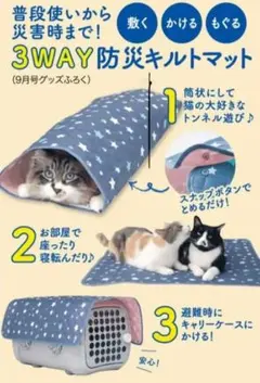 Item thumbnail for item 05a19da1-63e6-4062-a14d-8b39c4735e5d