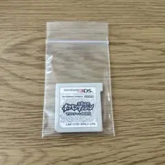 3DS ポケモン不思議のダンジョン〜マグナゲートと∞迷宮〜