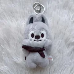 2026年最新】skzoo マグネットキーリングの人気アイテム - メルカリ