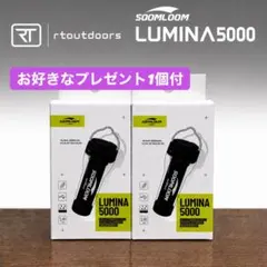 2026年最新】Lumina5000の人気アイテム - メルカリ