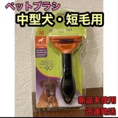 Item thumbnail for item 0f111774-9bce-4cdb-a384-b92d3c62139c