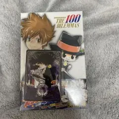 リボーン　ボードゲーム　ボドゲ　アニメイト特典