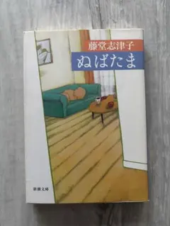 ぬばたま 藤堂志津子 新潮文庫 恋愛小説 文庫本