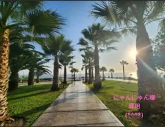 にゃんにゃん様専用です (*^^*)