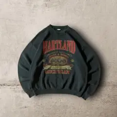 USA製90sフルーツオブザルーム ひび割れプリントスウェットダークグリーンXL