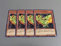 ネフティスの鳳凰神