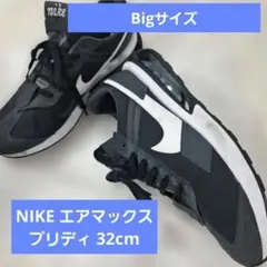 32cm NIKE エアマックスプリディ ブラック/ホワイト