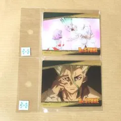 玄様 リクエスト 2点 まとめ商品