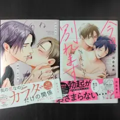 河合あめ/ 2冊セット まとめ バラ売り可