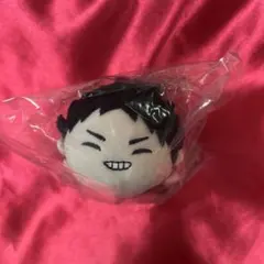 もちもちマスコットWA ハイキュー!! vol.2 岩泉