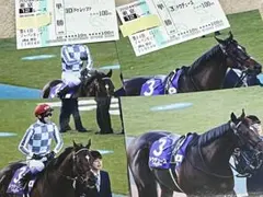 2025年最新】馬券 ドウデュースの人気アイテム - メルカリ