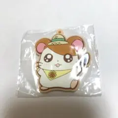 ヒメグマ 台湾 ポケモンセンター限定 - メルカリ